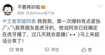 虎牙王者主播爆料视频大全,揭秘游戏幕后精彩瞬间