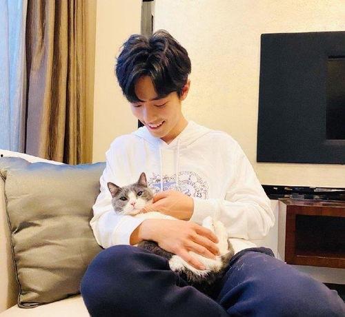 肖战爸爸爆料视频大全下载,揭秘明星家庭背后的故事 第2张 肖战爸爸爆料视频大全下载,揭秘明星家庭背后的故事 第2张